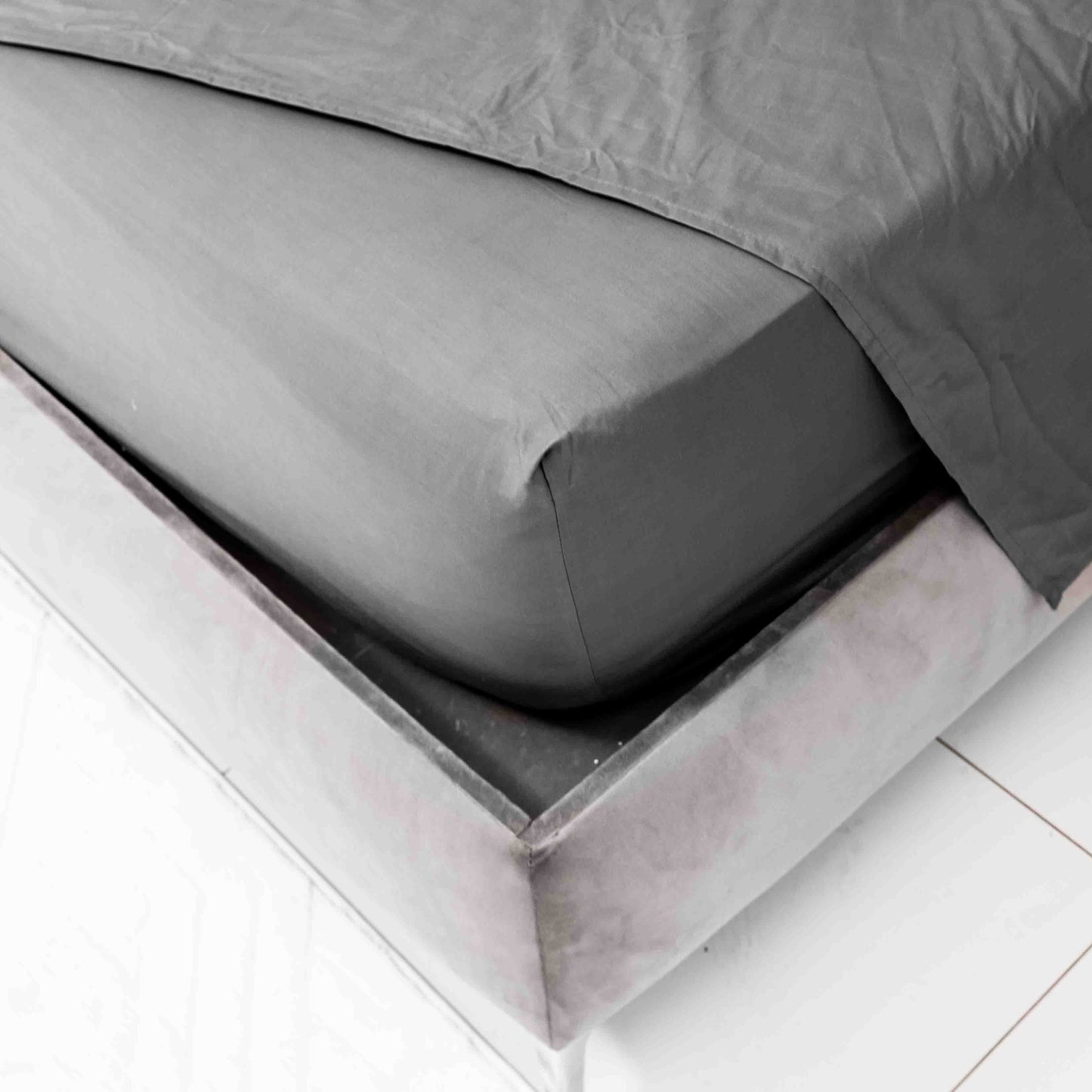 Flat Sheet Exclusive 144 Thread